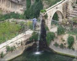 The agriculture in the area follows the traditional method of terrace farming. It is popular for the cultivation of olives and vines. The water distri